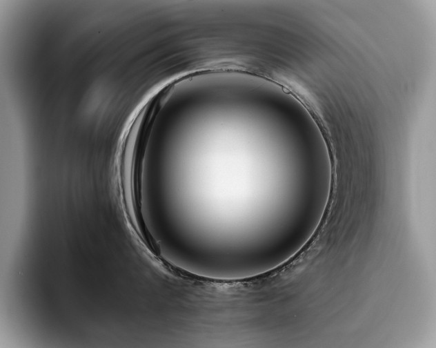 X0000094080816200710191420