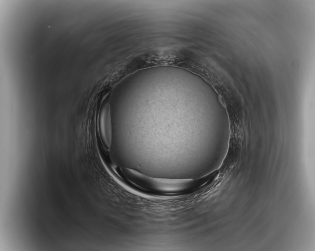 X0000094080818200710191420