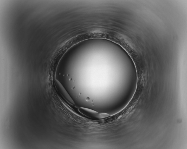 X0000094080821200710191420