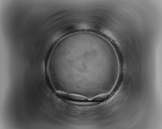 X0000094080825200710191420