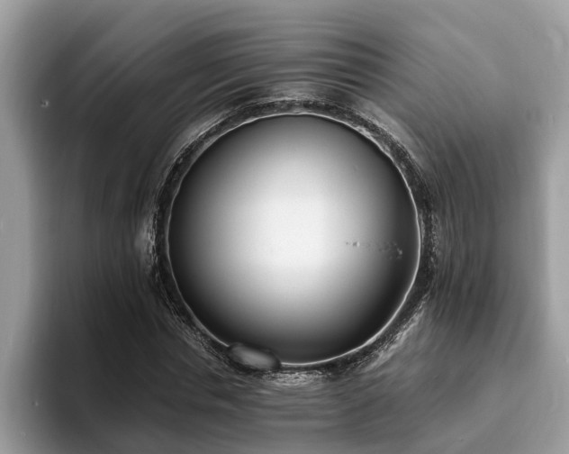 X0000094080826200710191420