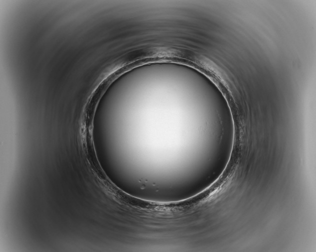 X0000094080827200710191420