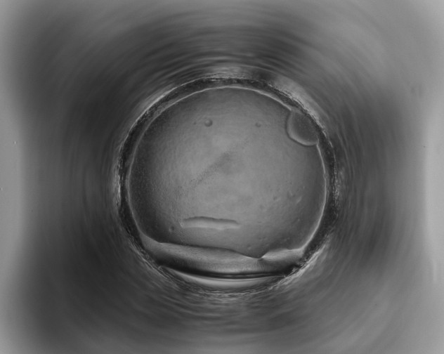 X0000094080829200710191420