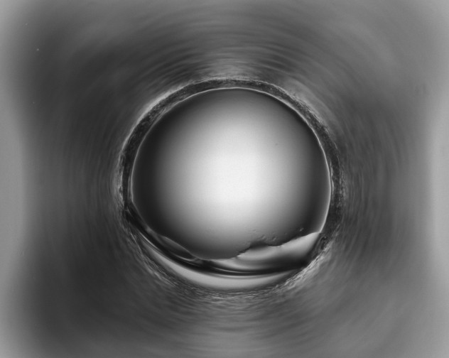 X0000094080830200710191420