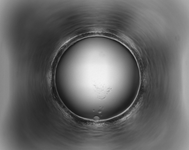 X0000094080831200710191420