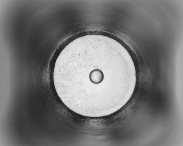 X0000094080832200710191420