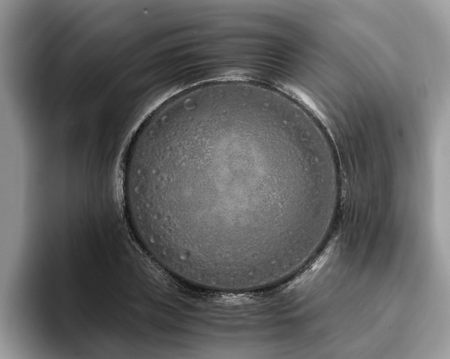 X0000094080835200710191420