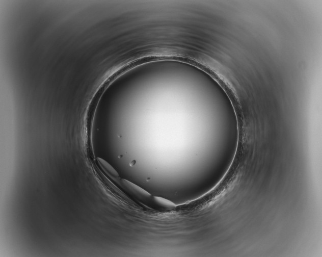 X0000094080837200710191420