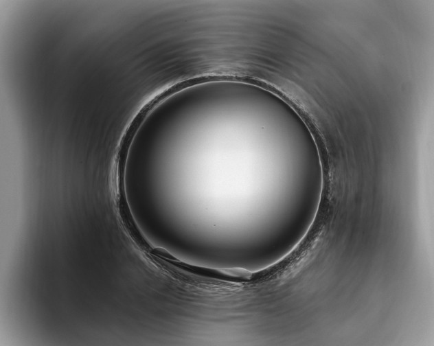 X0000094080838200710191420