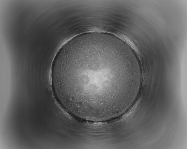 X0000094080839200710191420