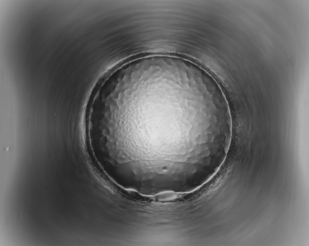 X0000094080840200710191420