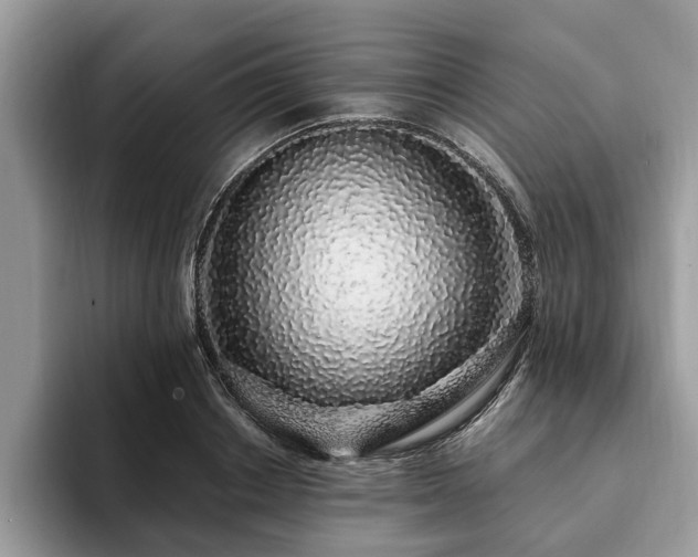 X0000094080842200710191420