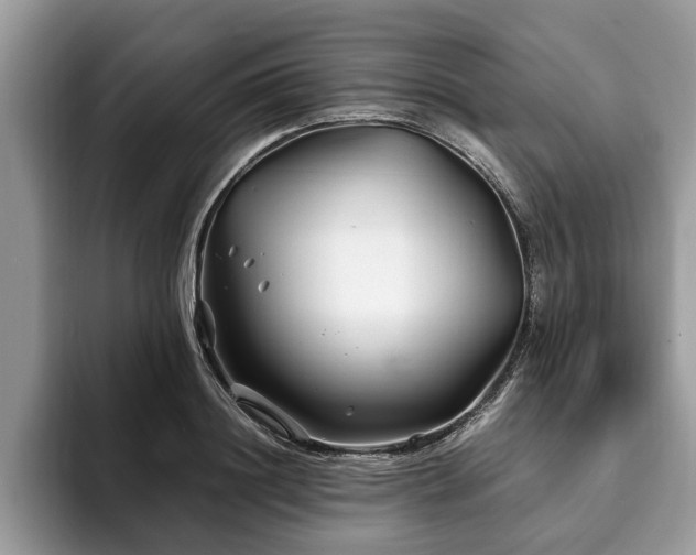 X0000094080844200710191420