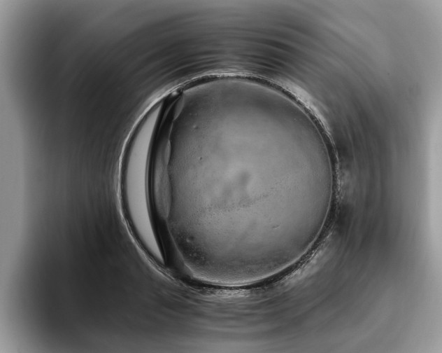 X0000094080845200710191420