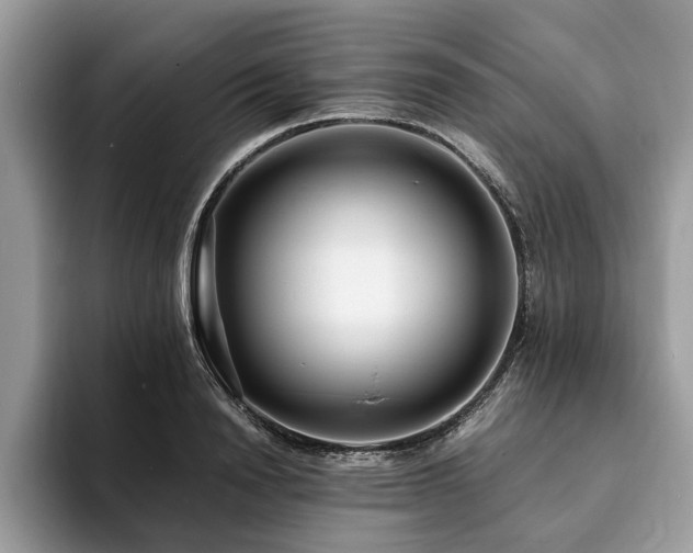 X0000094080846200710191420