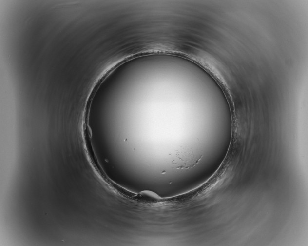 X0000094080847200710191420