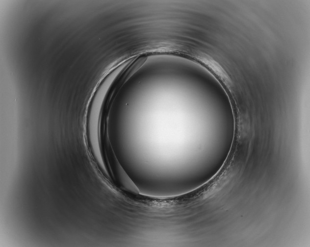 X0000094080850200710191420