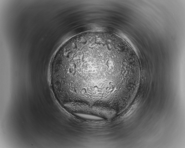 X0000094080851200710191420