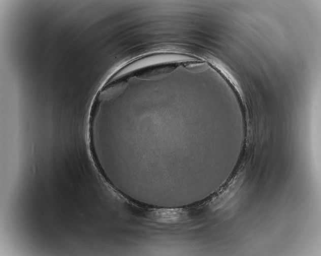 X0000094080853200710191420