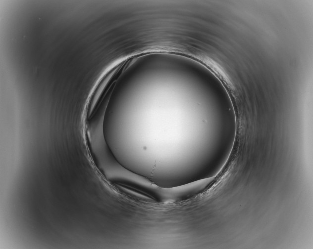 X0000094080854200710191420