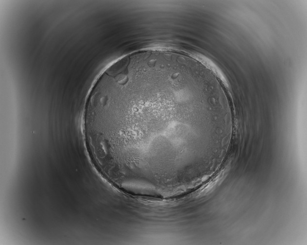 X0000094080855200710191420