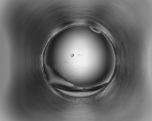 X0000094080858200710191420