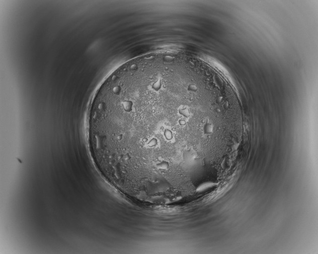 X0000094080859200710191420