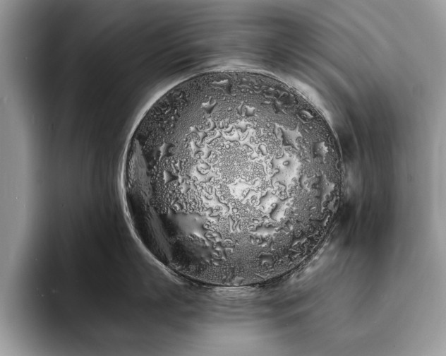 X0000094080863200710191420