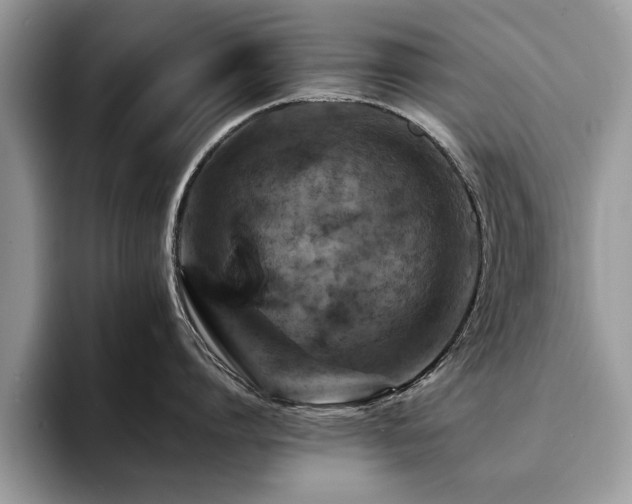 X0000094080864200710191420