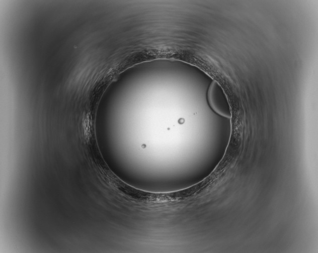 X0000094080866200710191419