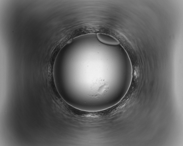 X0000094080867200710191419