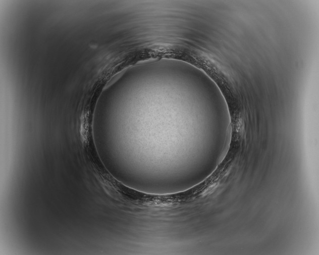 X0000094080868200710191419