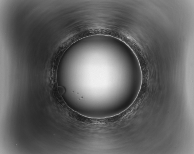 X0000094080870200710191419