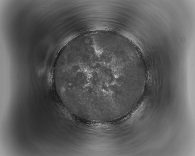 X0000094080874200710191419