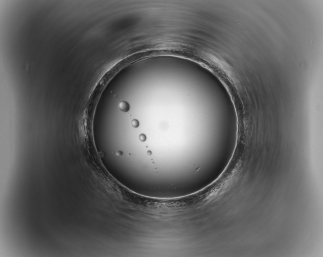 X0000094080875200710191419