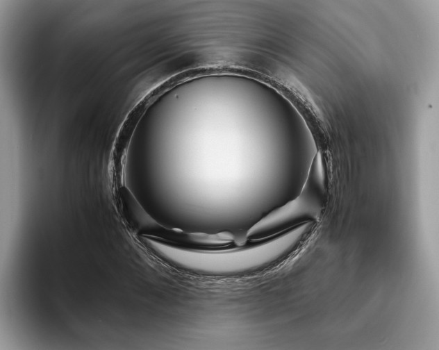 X0000094080876200710191419