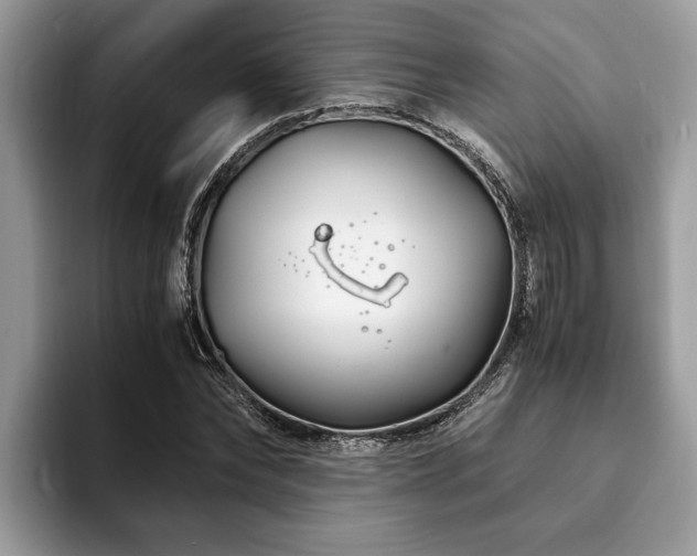 X0000094080878200710191419