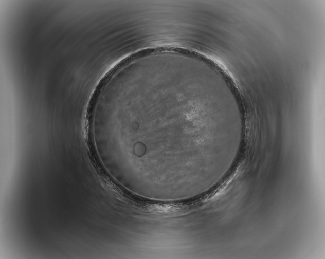 X0000094080879200710191419