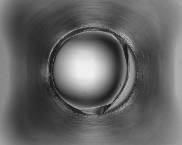 X0000094080880200710191419