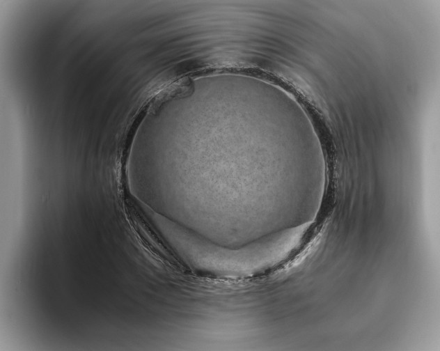 X0000094080881200710191419