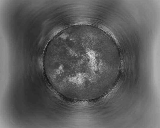 X0000094080882200710191419