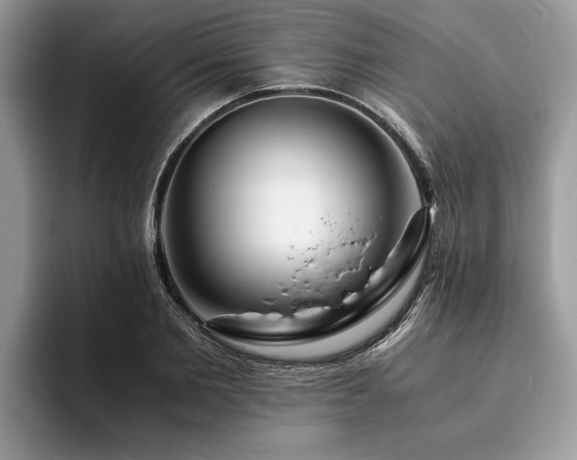 X0000094080885200710191419