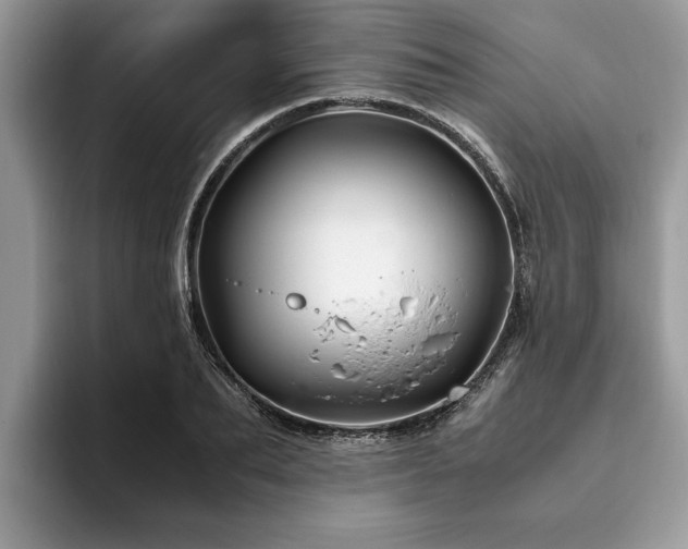 X0000094080887200710191419