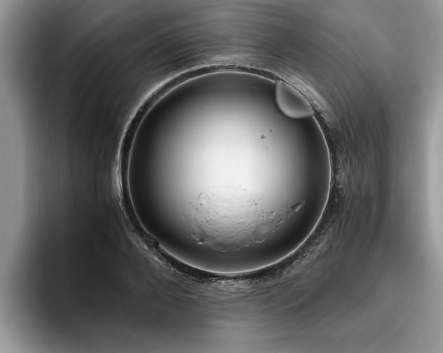 X0000094080888200710191419