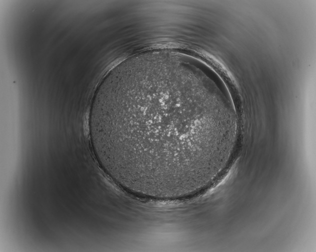 X0000094080889200710191419