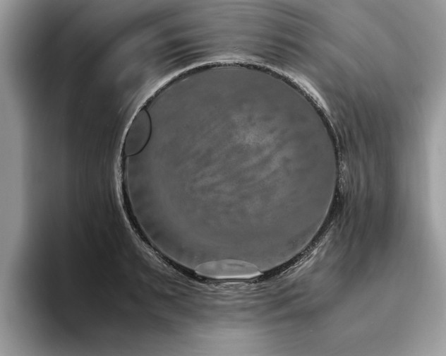 X0000094080895200710191419