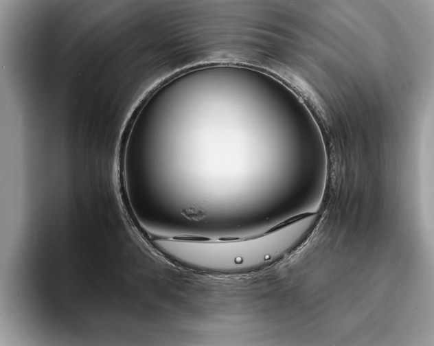 X0000094080896200710191419