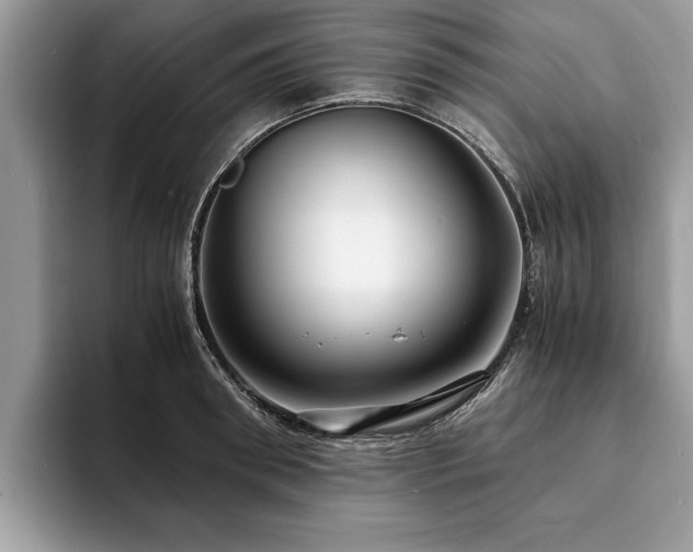 X0000094080898200710191419