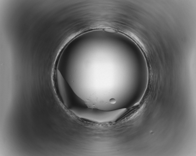 X0000094080901200710191419