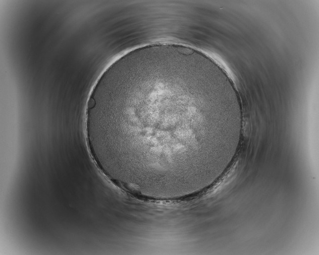 X0000094080903200710191419